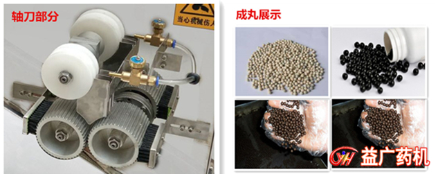 全自動制丸機帶拋光一體細節(jié)圖